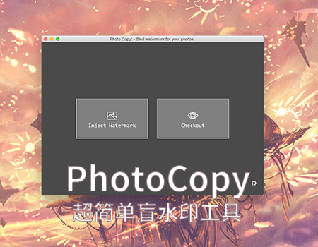 PhotoCopy 傻瓜式图片盲水印处理软件